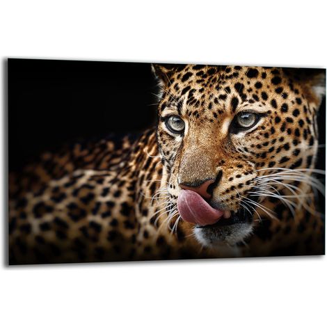 PLAQUE DE PROTECTION EN VERRE POUR CUISINIÈRE 80x52 TIGER (1/5)