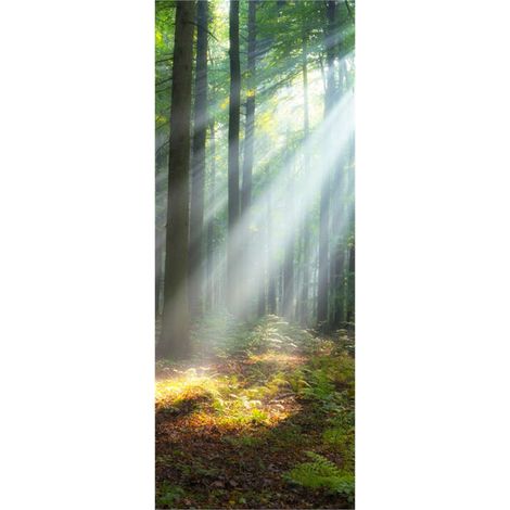 Panneau mural douche en alu-composite VIPANEL - Inspiration Nature Décor Forêt du Matin - Finition Brillant - 100x255cm (1/5)