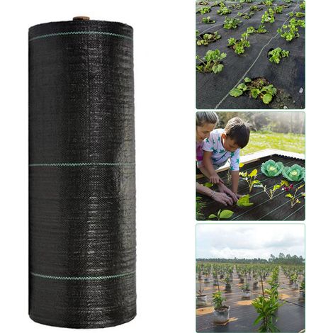 TolleTour 4x10m Unkrautvlies Gartenvlies – Saubere Lösung für Blumenbeete, Rabatten & Ziergärten