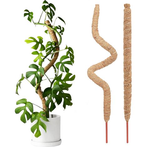 Poteau en mousse pliable de 121,9 cm pour plantes Monstera, support de plantes pour piquets de plantes (2 pièces) (1/5)