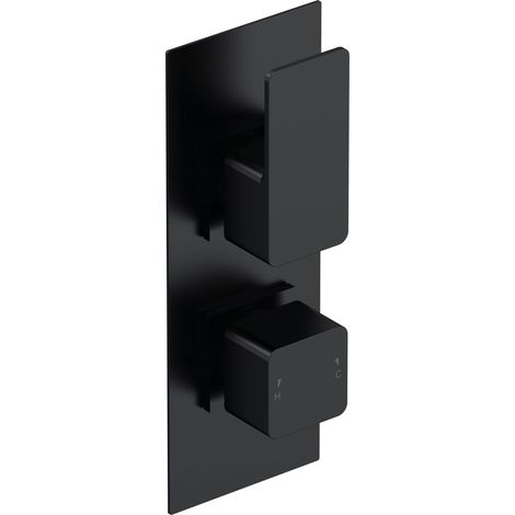 Swinscoe Contemporary Concealed Square Twin Thermostatic Shower Valve, 215mm Solid Brass Construction - Matt Black by Balterley