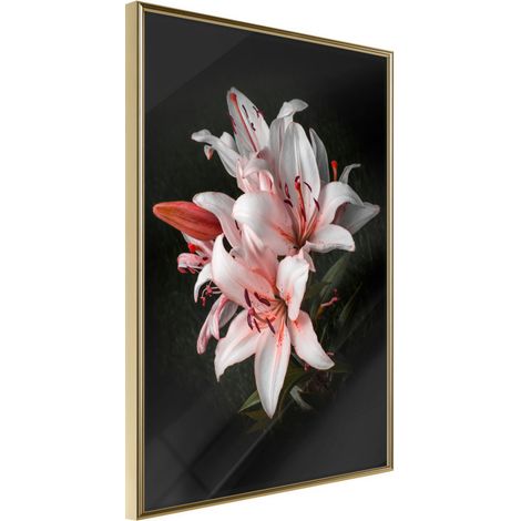 Affiche Murale Encadrée "Pale Pink Lilies" 30 x 42 cm Or