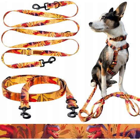 Correa multifuncional con longitud variable de hasta 500 cm para perros de hasta 20 kg Ukory (1/5)