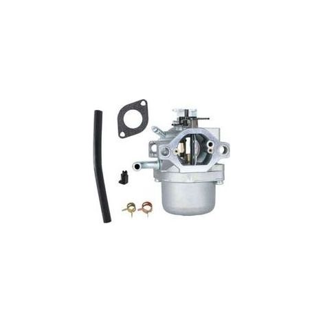 FENOPLASTICA Ersatzvergaser für Briggs & Stratton Rasenmähermotoren 593432, 794653, 590399 und 796077. (1/5)