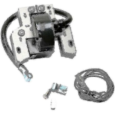 Bobine d’allumage pour Briggs Stratton 591420 398593 496914 793281 792395 - F-good (1/3)