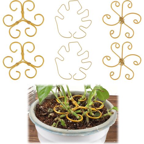 6pcs Support de Tige pour Plantes Grimpantes, Support de Croissance Vertical pour Plantes Grimpantes Support Tige et Treillis en Fer Extérieur (1/5)