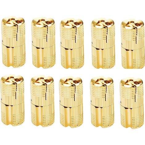 10 Pcs Charnières Cylindriques en Laiton, Caché Charnière Invisible Tonneau pour DIY Porte en Bois Armoire Caravane, 10 mm (1/4)