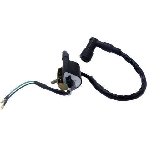 Transformateur haute tension ATV pour motos et véhicules tout-terrain (50cc, 70cc, 90cc, 110cc, 125cc) - accessoires. (1/5)