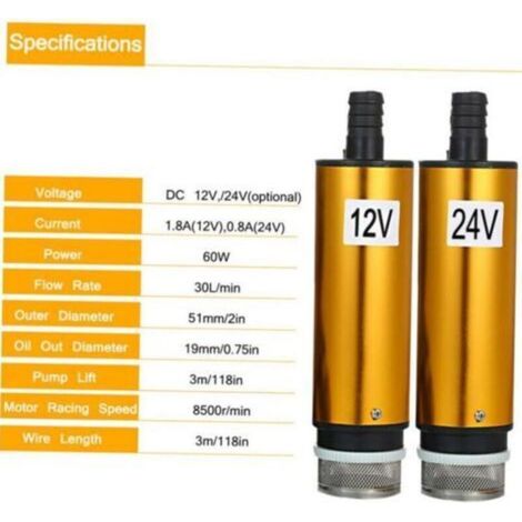 Pompe de puits DC12 / 24V DC, pompe de puits en acier inoxydable, pompe d'aspiration - (trois mètres) 12V (1/4)