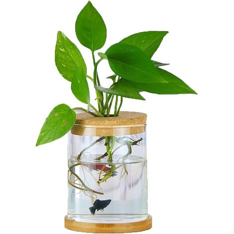 Mini vaso per fiori e fiori recisi, vaso da tavolo in vetro per decorazioni e matrimoni. (1/5)
