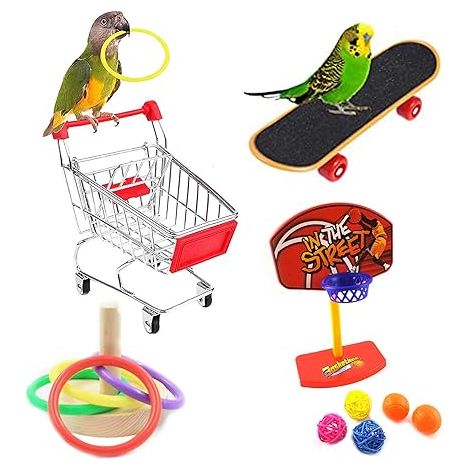 BEBUSINGOTO Quatre pièces oiseau jouet éducatif perroquet jouet perroquet planche à roulettes chariot balle anneau éducatif formation jouet perroquet oiseau jouet perruche perroquet gris d'Afrique (1/5)