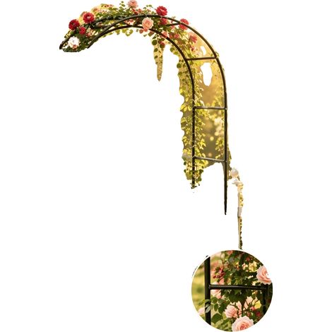 Arche de jardin treillis, métal, hauteur 2,4 m, pour plantes grimpantes, résistant aux intempéries, design courbé (1/5)