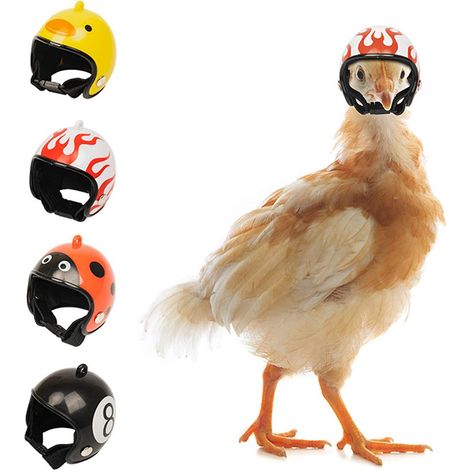 articoli: Accessori per animali domestici, casco protettivo per polli, cappello per pulcini e galline, cappello per uccelli, copricapo (1/2)