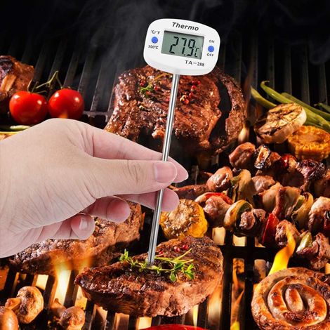 Thermomètre Alimentaire, Barbecue (1/5)