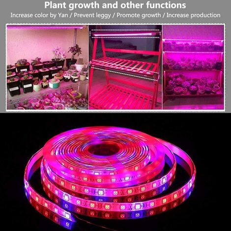 Guirlande lumineuse LED étanche 5050 SMD pour la croissance des plantes en serre (1/5)