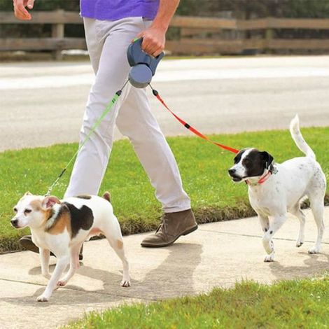 TEMPSA Laisse pour chien, Enrouleur Rétractable 50 Lbs 3M pour Course à Pied ,Randonnée et Marche -noir (1/3)