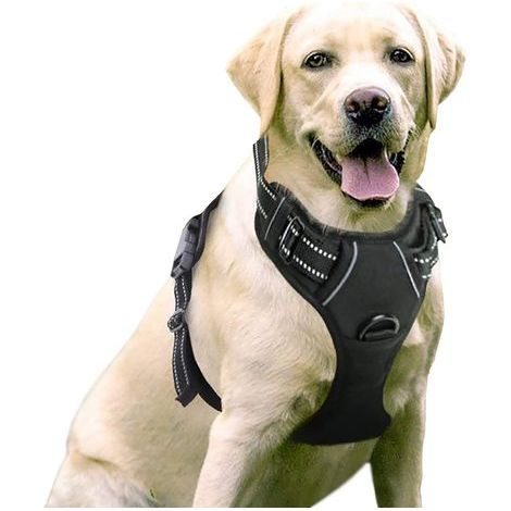 Harnais Chien Anti Traction, Arnet pour Chiens mit Poignée Control, Facile à Mettre, Gilet Réfléchissant Réglable mit, Noir, L (1/5)