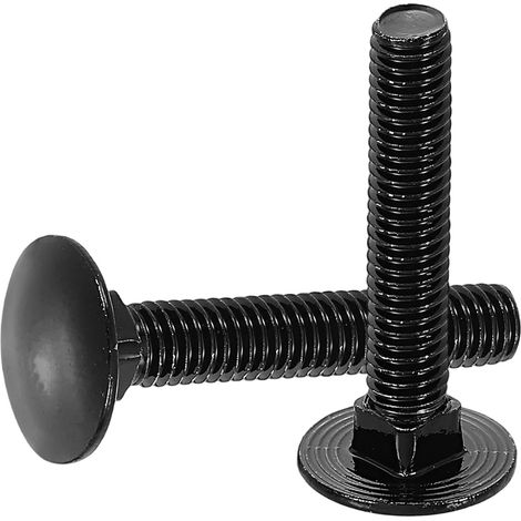 Packung mit 30 M6 x 35 mm Gehäuseschrauben aus Edelstahl 18-8 (304) mit Rundkopf und Vierkantansatz – Schrauben mit schwarzer Oxidbeschichtung zur Befestigung von Zubehör – Schwarz (1/4)