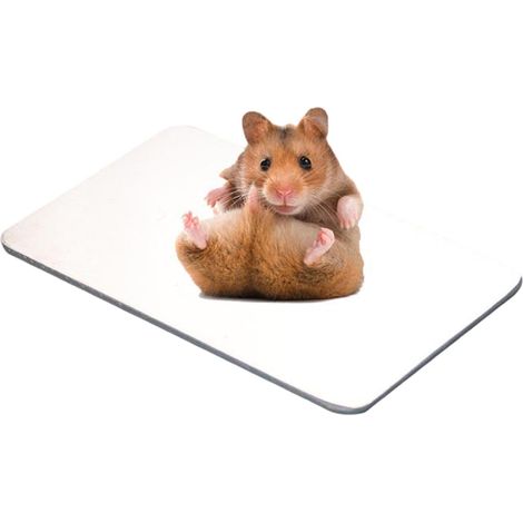 Multifunctional Cooling Pad for Rabbit and Pets - Cooling Pad for Guinea Pig, Chinchilla, Hamster (20 x 14 cm) (1/5)