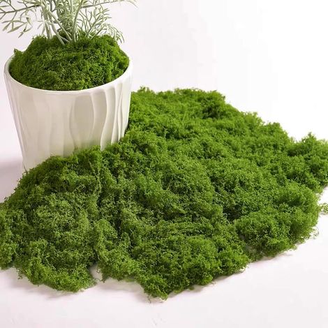 Künstliches Moos – 50 g – Synthetische Faser – Realistische Dekoration – Für DIY und Garten – Dunkelgrün (1/4)