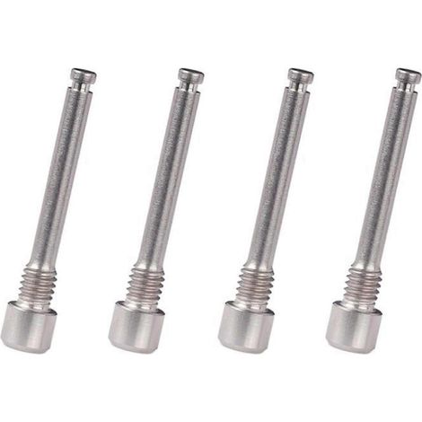 Quatre boulons M4 en alliage de titane pour plaquettes de frein à disque de vélo  vis à insert fileté pour freins à disque hydrauliques de type R. (1/5)