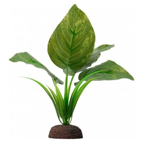 Fluval plant varigated lizard's 15cm