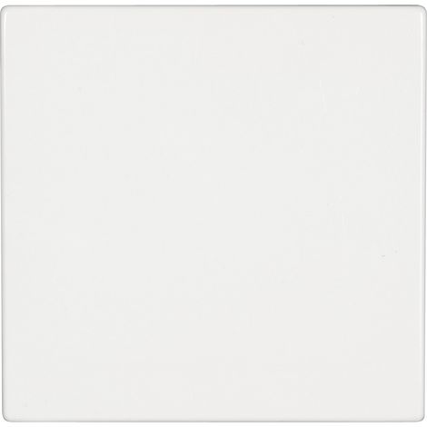 Jung Wippe aws für Taster LS 990 WW