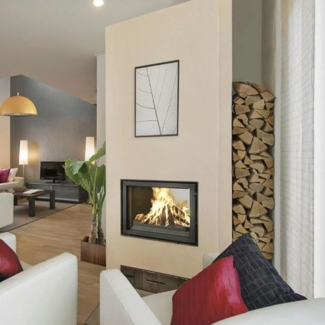 Insert de cheminée 100 EVO LD d200 96 CM 17kW design haut de gamme