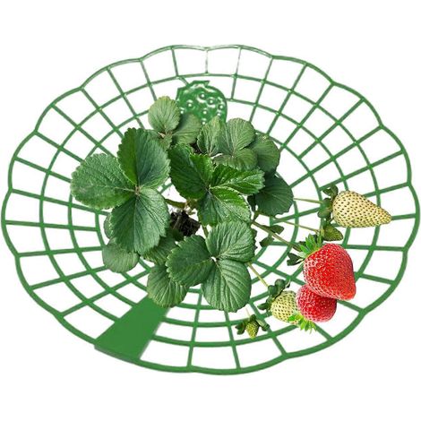 Supports pour tournesols et fraisiers, lot de 100, pour garder vos plantes propres (1/5)