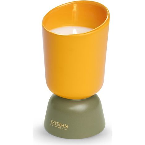 Candela profumata 220g Neroli Iconic Color / Esteban (1/2)