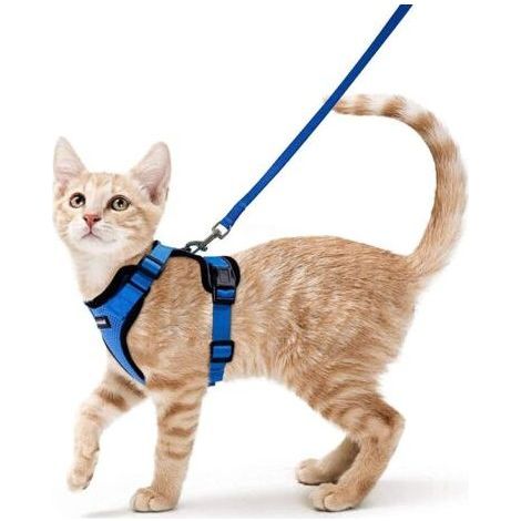Harnais Chat Petit Chien Laisse Harnais Chaton Réglable Bleu S Collier Harnai Chat Refléchissant Gilet Respirant pour Lapin, Chat Européen, Maine Coon, Persan, Attache Dessus avec Laisse-Enso (1/5)