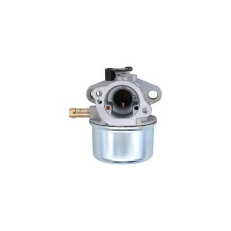 Kit de carburateur pour petits moteurs de tondeuses à gazon 4 temps Briggs & Stratton 124T02, 124T05 et 124T07, remplace les références 799868, 498254, 497347, 497314 et 498170. Kit de protection de c
