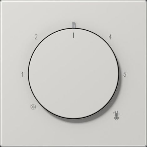 Jung Abdeckung für Thermostat, Temperatursymbol, Thermoplast, Serie LS, lichtgrau LS 1749 BF LG (1/2)