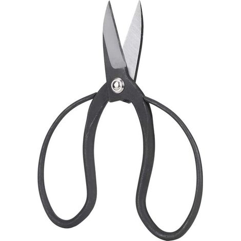 Branche sécateur Jardin Ciseaux, Branche Ciseaux élagage Ciseaux, Jardin Ciseaux pour Jardinier pour débutant (1/5)