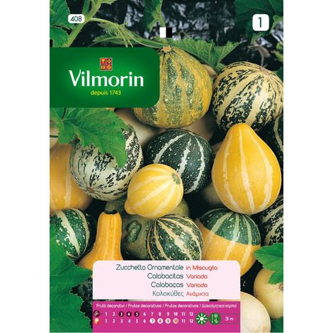 VILMORIN Semillas de CALABACITAS VARIADAS FLORES S-1, 3 gr