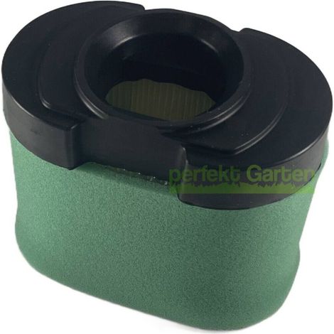 filtre à air pour moteur Briggs & Stratton B&S séries 7, 8, 8270 Professional 593240, 5405K (1/4)