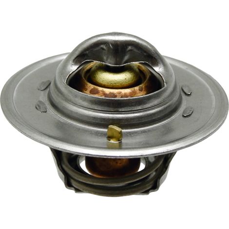 Termostato 84°C 70mm 74715179 GRANITO 3118127R1 895311H1