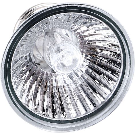 Lampe chauffante professionnelle pour reptiles, économe en énergie, éclairage à 360°, lampe chauffante UVA/UVB pour tortues et reptiles, 220 V (1/5)
