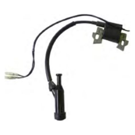 Accensione elettronica per motore Zanetti ZBM240, ZBM270 originale