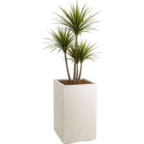 Betonique Blumentopf auf Rollen, Recyclingbeton, beige, H60x40 cm (1/5)