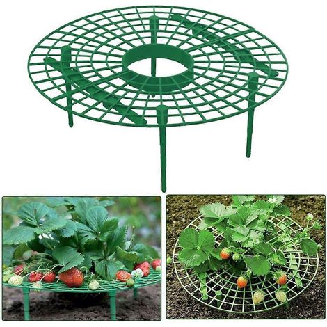 Lot de 5 supports pour fraisiers, étagères de culture pour plantes grimpantes, support de jardin (1/4)