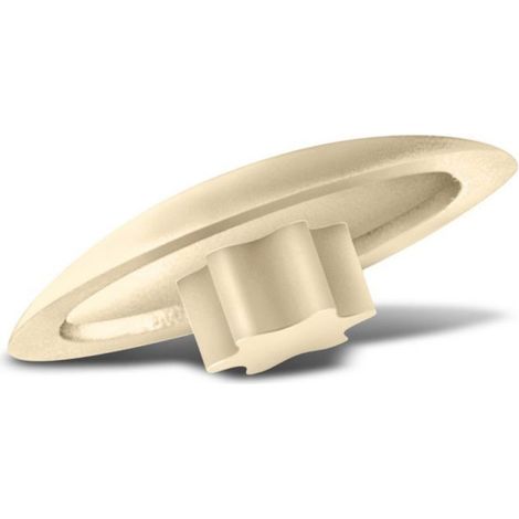 Spax Caches beige T20,25 Stk. - Carton L