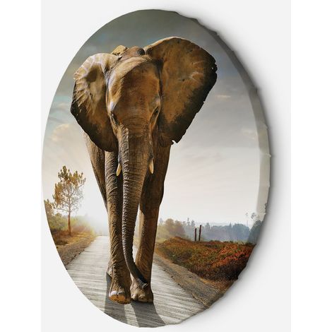 Tableau sur toile Image circulaire Éléphant sur la route 80x80 (1/5)