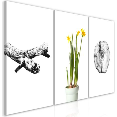 Quadro - Nature (Collection) - 120x60 (1/4)