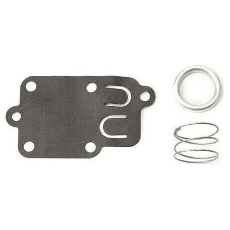 Membrane carburateur Briggs et Stratton (1/4)