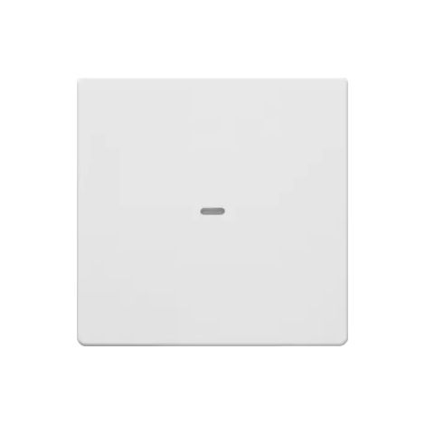 Berker KNX Q.X ABDECKUNG PWS (80960229) (1/2)