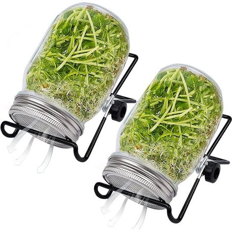 Maceta para germinar，2 juegos de germinadores de boca ancha con tapa de malla，kit de germinación de 473 ml con soporte ajustable，12,5 cm (1/5)