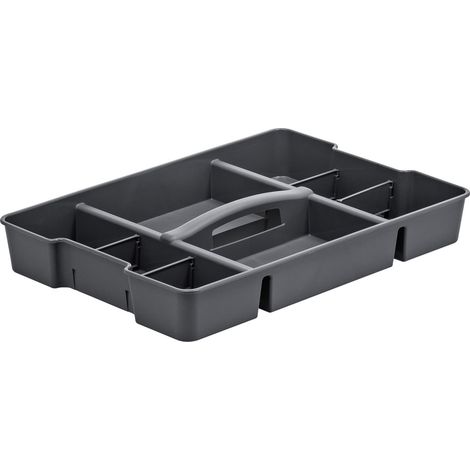 Rotho Organizer für Box Evo 30,44,65 L 51,6 x 36,5 x 7,3 cm (L x B x H) Boxen, Körbchen & Kisten