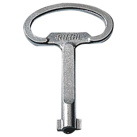 Rittal SZ 2531.000 Chiave a doppia testa argentata sicurezza