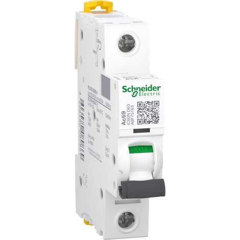 SCHNEIDER iC60N 1-poliger 63A Leistungsschalter Typ D.